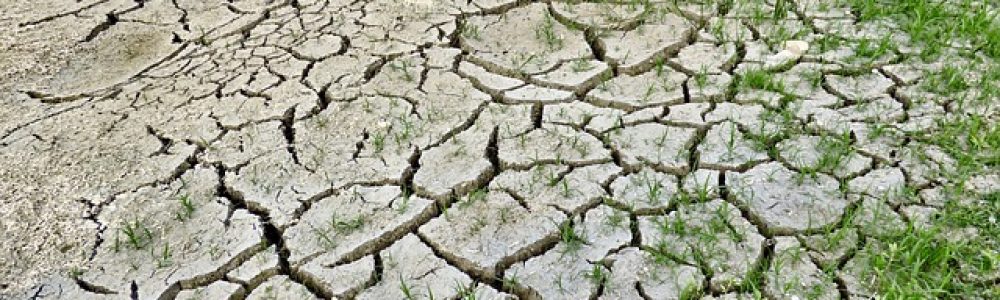 climate-change-2241061_640-1